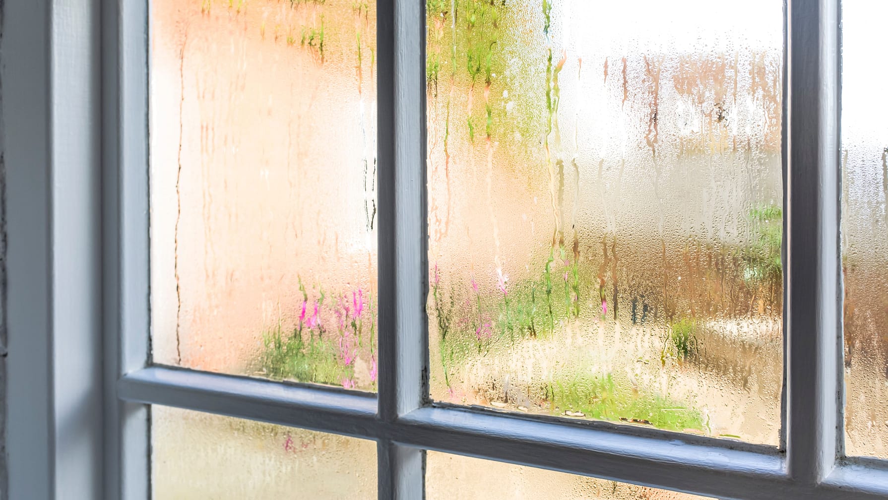 single glazed windows causing condensation problems in the home