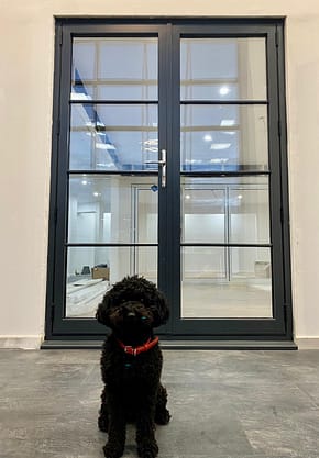 aluminium-french-doors aluminium french doors with astragal bars with black dog sat infront