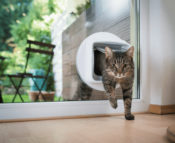 microchip cat flap for glass door